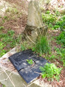 Alter Friedhof, Greiz 06