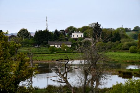 Alphington 2020-04-26 01