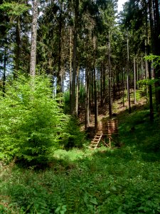 Altenbrak Hochsitz (7)