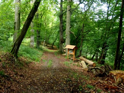Altenbrak Naturlehrpfad (4)