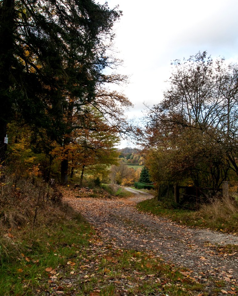 Altenbrak Herbst 2016
