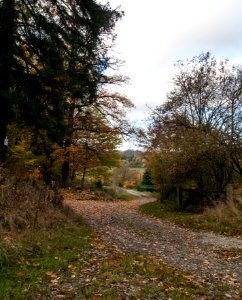 Altenbrak Herbst 2016
