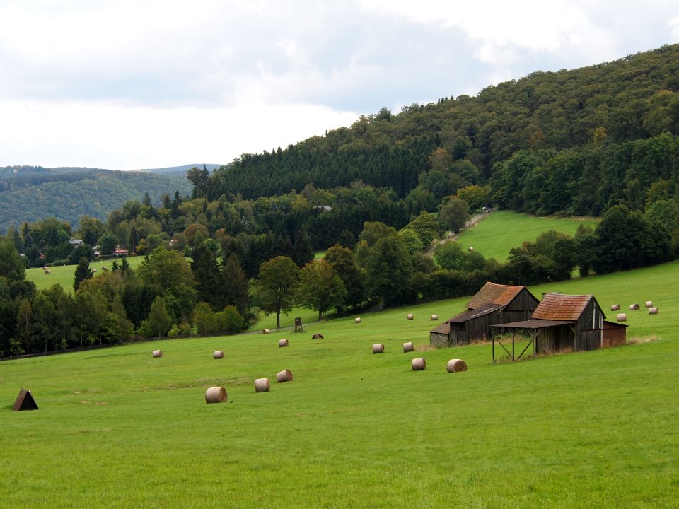 Altenbrak Feldflur (5)