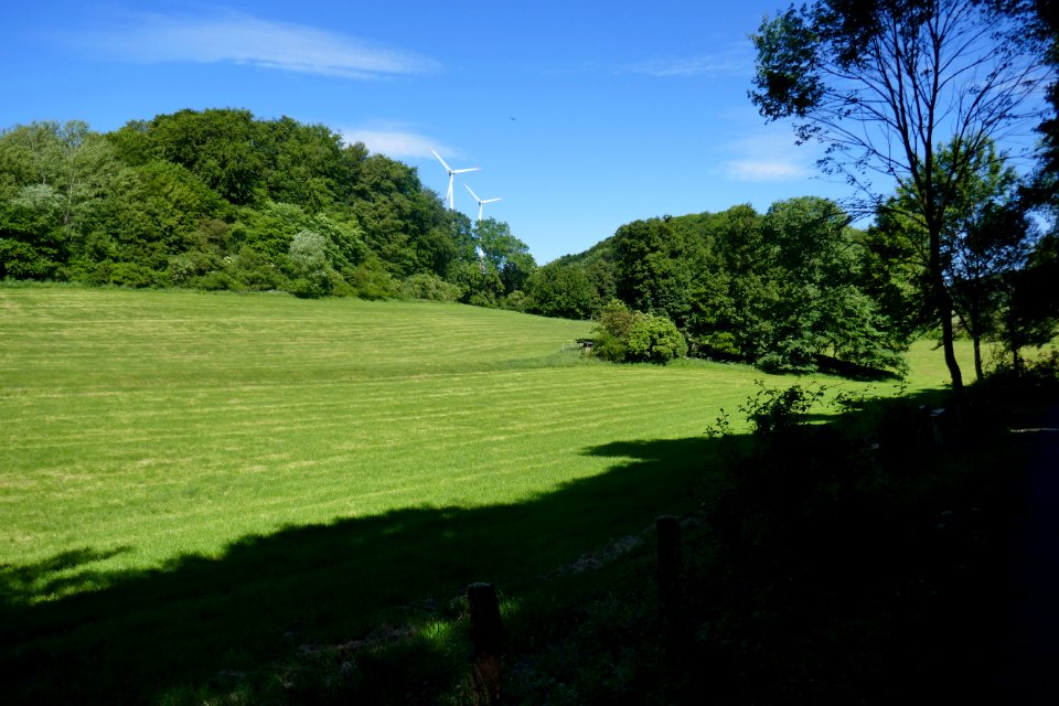Altenbeken - Dunetal - 01
