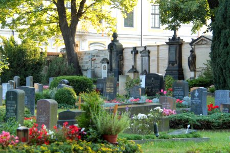 Alter katholischer Friedhof Dresden 2012-08-27-0044