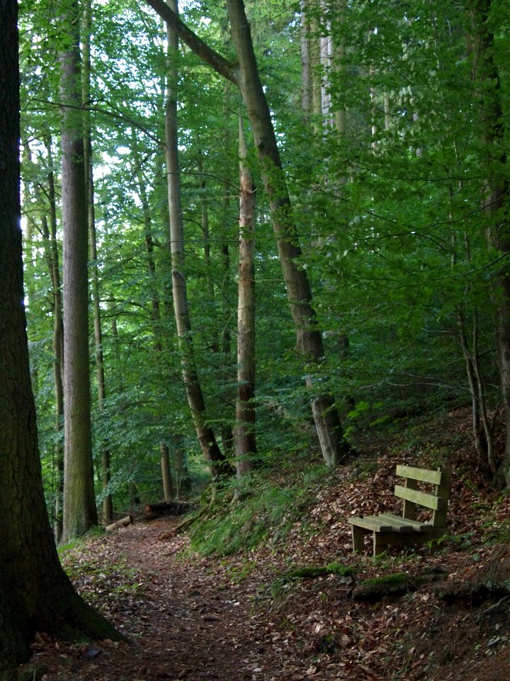 Altenbrak Bank Philosophenweg