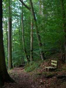 Altenbrak Bank Philosophenweg