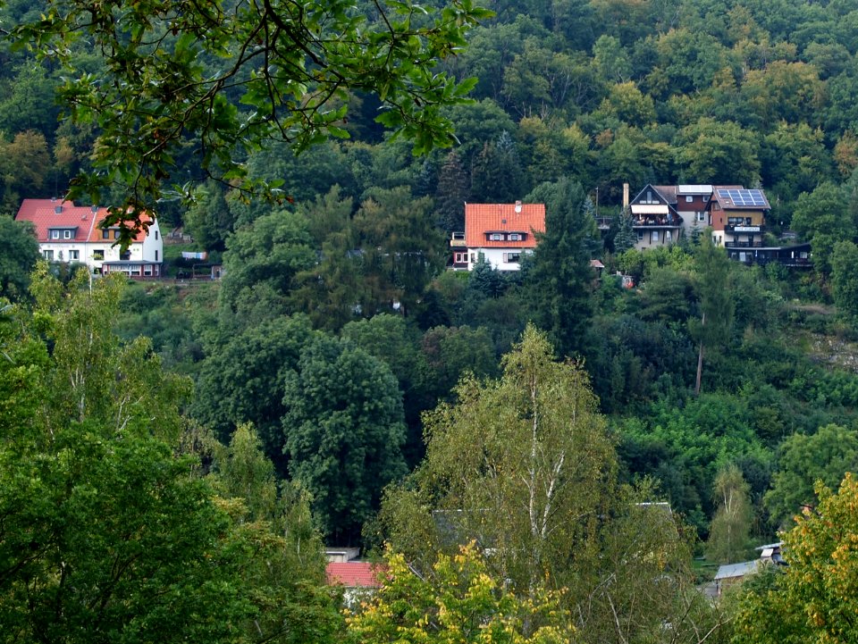 Altenbrak Forstweg (4)