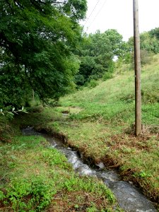 Altenbrak Cellstraße Wasserlauf