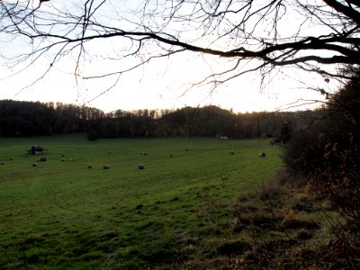 Altenbrak Feldflur (8)