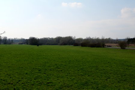 Alter Flugplatz Frankfurt 2020-04-22 05