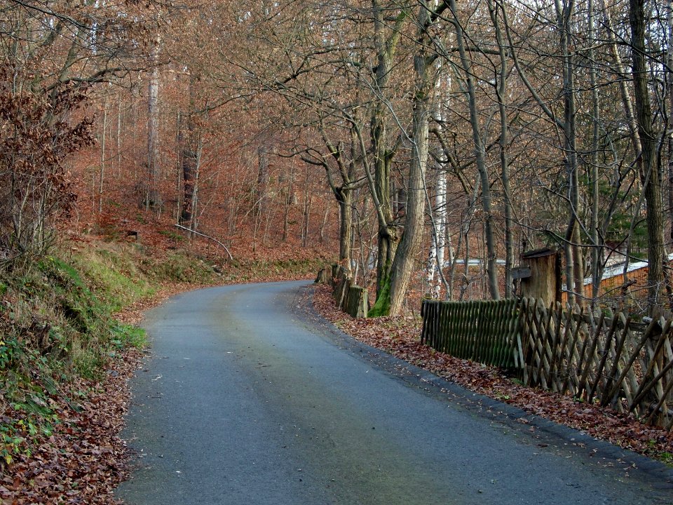 Altenbrak Forstweg (13)