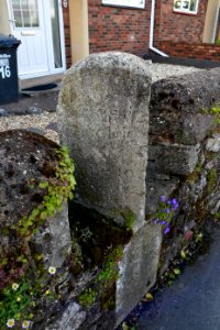 Alphington (2021-05-19) 06