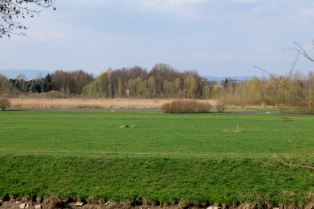 Alter Flugplatz Frankfurt 2020-04-22 02