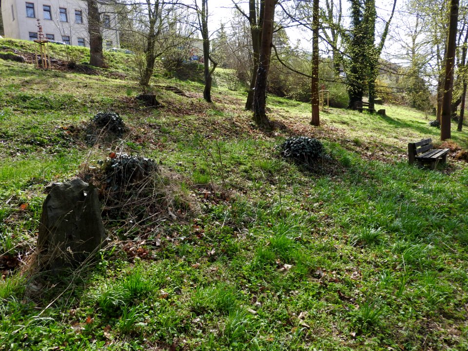 Alter Friedhof, Greiz 04