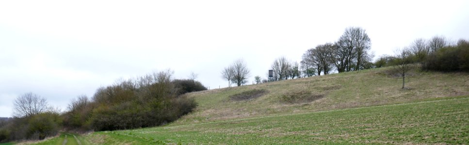 Altenbeken - NSG Sieben Gründe - 05