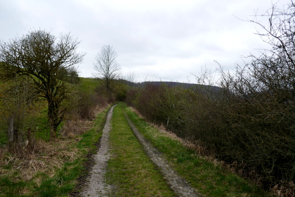 Altenbeken - NSG Sieben Gründe - 02
