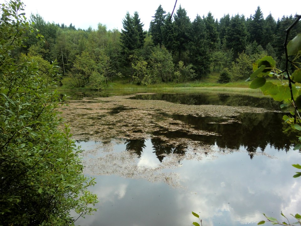 Altenberg Walkteich oberer 01