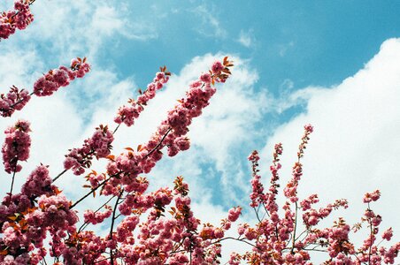 Spring warm clouds