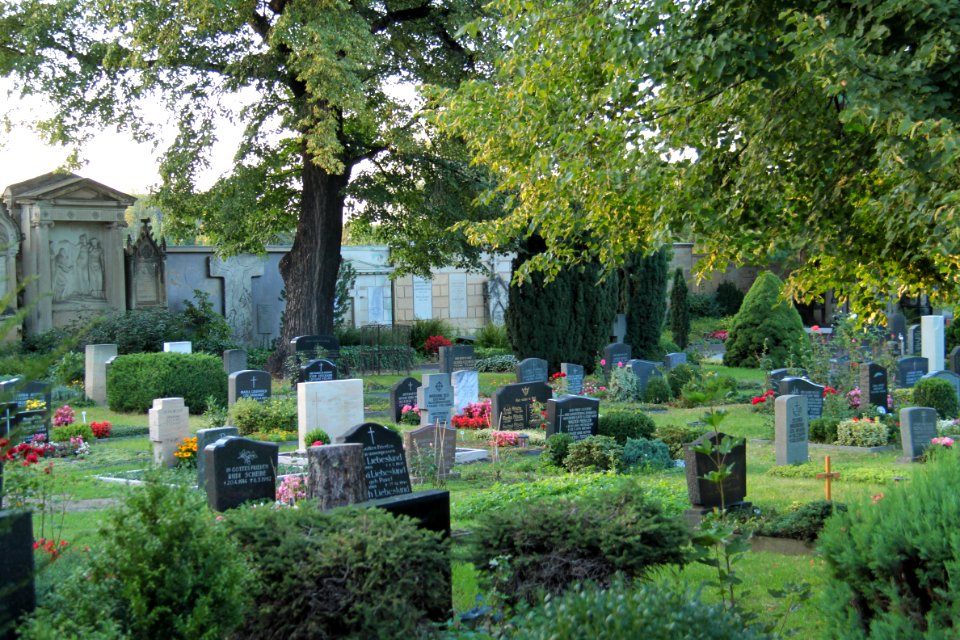 Alter katholischer Friedhof Dresden 2012-08-27-0093