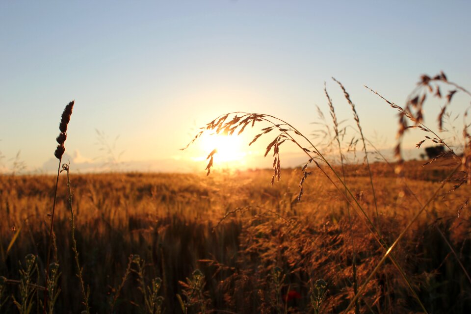 Landscape golden hour outdoor