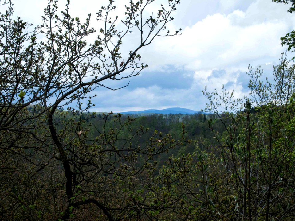 Altenbrak Brockenblick (5)