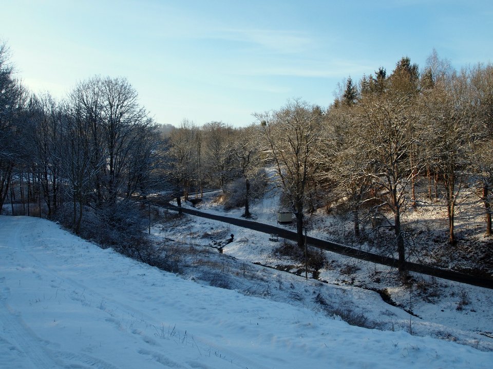 Altenbrak Cellstraße (5)