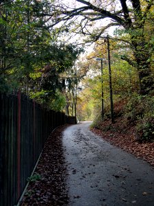 Altenbrak Forstweg (5)