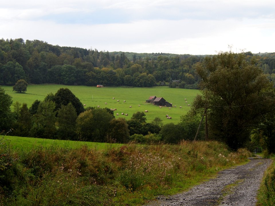 Altenbrak Feldflur (6)