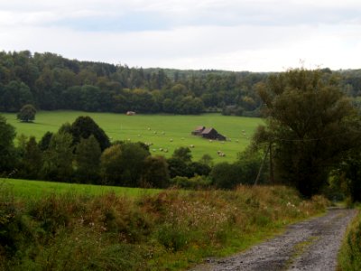 Altenbrak Feldflur (6)