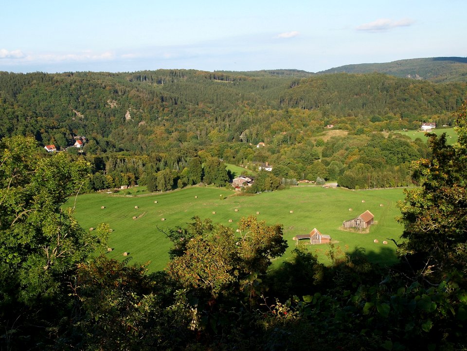 Altenbrak Feldflur Kuckucksklippe