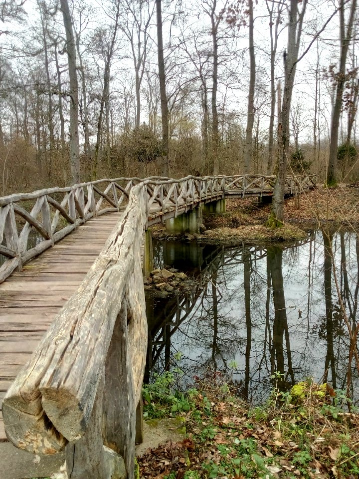 Alter Federbach, Fußgängerbrücke südlich des Rosslochs (2)