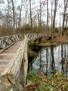 Alter Federbach, Fußgängerbrücke südlich des Rosslochs (2)