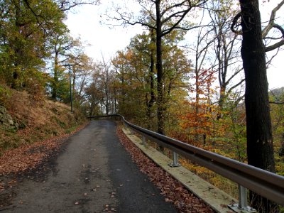 Altenbrak Forstweg (10)