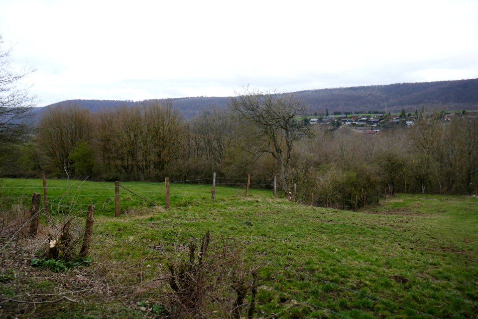 Altenbeken - NSG Sieben Gründe - 04