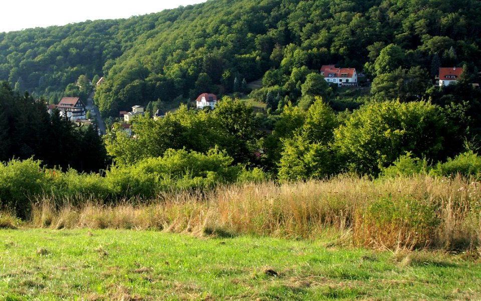Altenbrak Bachs Höhe