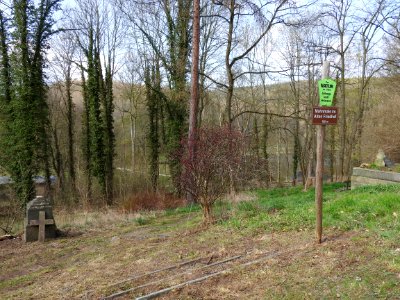 Alter Friedhof, Greiz 01