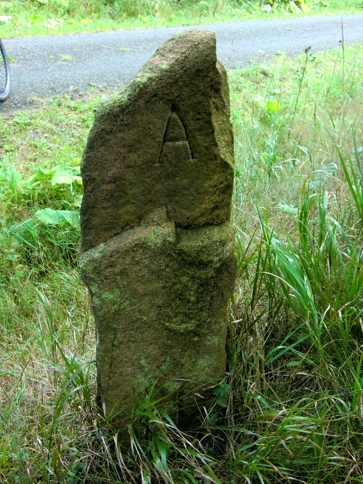 Altenberg Brautstock-02