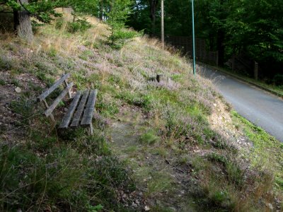 Altenbrak Bank Forstweg (2)