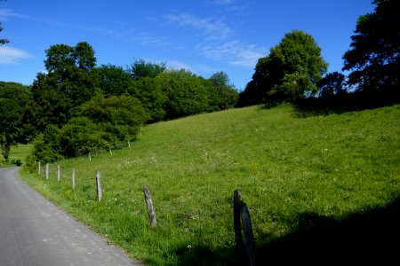 Altenbeken - Dunetal - 03