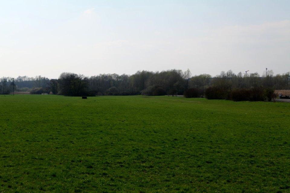 Alter Flugplatz Frankfurt 2020-04-22 04