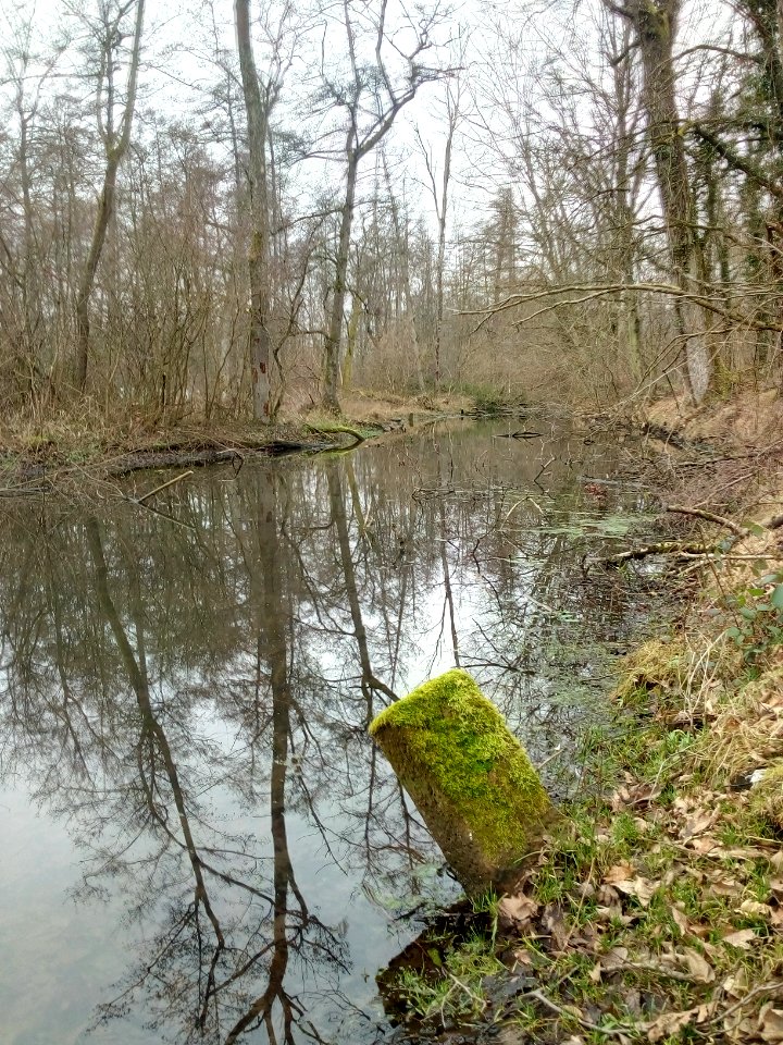 Alter Federbach, Rossloch