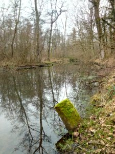 Alter Federbach, Rossloch
