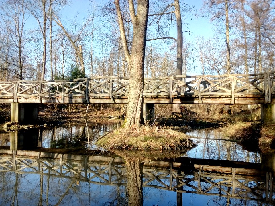 Alter Federbach, Fußgängerbrücke südlich des Rosslochs (4)
