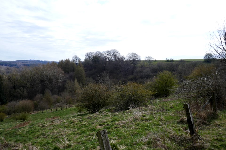 Altenbeken - NSG Hossenberg - 8
