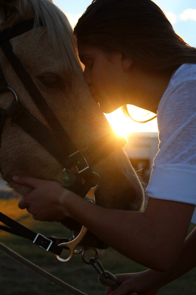 Kissing kiss sunset