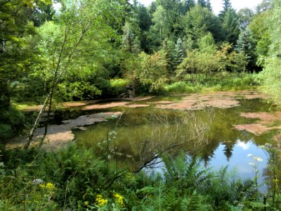 Altenberg Schwarzer Teich-03