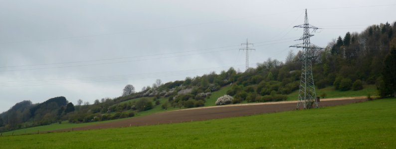 Altenbeken - NSG Sommerberg-Ortwald - 01