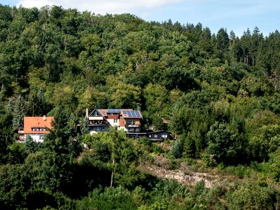 Altenbrak am Forstweg