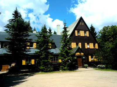 Altenberg Altes Raupennest